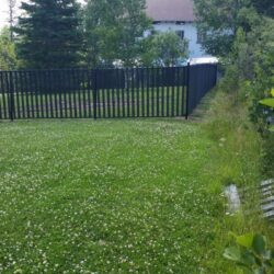 Image de Parc canin – Latte intimité